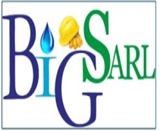 Logo BigSarl